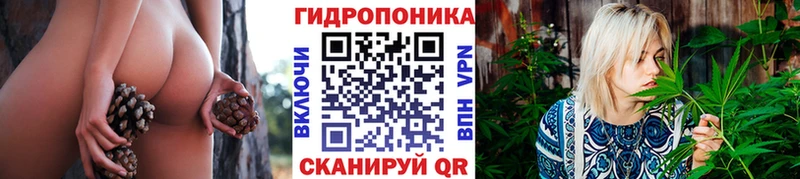Наркота Ачхой-Мартан Псилоцибиновые грибы  OMG ССЫЛКА  СК  Бошки Шишки  Cocaine  Меф мяу мяу 