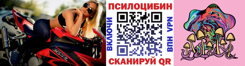 дарнет шоп  Ачхой-Мартан  Псилоцибиновые грибы Psilocybe 